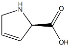 (R)-2,5-dihydro-1H-pyrrole-2-carboxylic acid Struktur