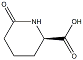 R/S-6-OXO-PIPERIDINE-2-CARBOXYLIC ACID Struktur