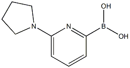 6-(PYRROLIDIN-1-YL)PYRIDINE-2-BORONIC ACID Struktur