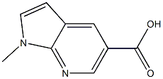 1-METHYL-1H-PYRROLO[2,3-B]PYRIDINE-5-CARBOXYLIC ACID Struktur