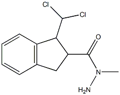 N2-methyl-1-(dichloromethyl)indane-2-carbohydrazide Struktur