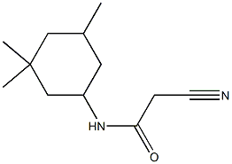 N1-(3,3,5-trimethylcyclohexyl)-2-cyanoacetamide Struktur