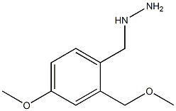 (4-methoxy-2-(methoxymethyl)benzyl)hydrazine Struktur