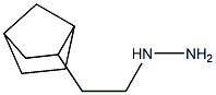 1-(2-(bicyclo[2.2.1]heptan-2-yl)ethyl)hydrazine Struktur