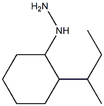 1-(2-sec-butylcyclohexyl)hydrazine Struktur