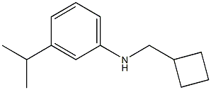 N-(cyclobutylmethyl)-3-isopropylbenzenamine Struktur