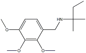 (2-methylbutan-2-yl)[(2,3,4-trimethoxyphenyl)methyl]amine Struktur