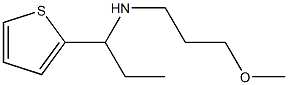 (3-methoxypropyl)[1-(thiophen-2-yl)propyl]amine Struktur