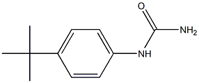 (4-tert-butylphenyl)urea Struktur