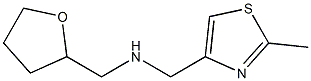 [(2-methyl-1,3-thiazol-4-yl)methyl](oxolan-2-ylmethyl)amine Struktur