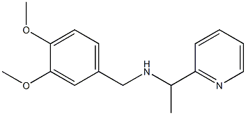 [(3,4-dimethoxyphenyl)methyl][1-(pyridin-2-yl)ethyl]amine Struktur