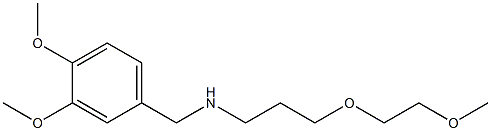 [(3,4-dimethoxyphenyl)methyl][3-(2-methoxyethoxy)propyl]amine Struktur