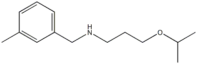 [(3-methylphenyl)methyl][3-(propan-2-yloxy)propyl]amine Struktur