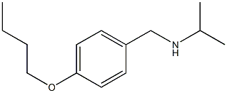 [(4-butoxyphenyl)methyl](propan-2-yl)amine Struktur