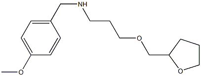 [(4-methoxyphenyl)methyl][3-(oxolan-2-ylmethoxy)propyl]amine Struktur