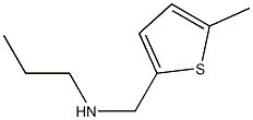 [(5-methylthiophen-2-yl)methyl](propyl)amine Struktur