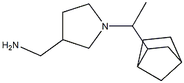 [1-(1-bicyclo[2.2.1]hept-2-ylethyl)pyrrolidin-3-yl]methylamine Struktur