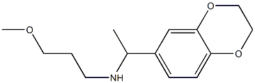 [1-(2,3-dihydro-1,4-benzodioxin-6-yl)ethyl](3-methoxypropyl)amine Struktur