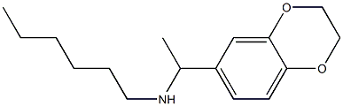 [1-(2,3-dihydro-1,4-benzodioxin-6-yl)ethyl](hexyl)amine Struktur