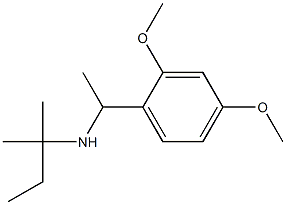 [1-(2,4-dimethoxyphenyl)ethyl](2-methylbutan-2-yl)amine Struktur