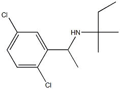 [1-(2,5-dichlorophenyl)ethyl](2-methylbutan-2-yl)amine Struktur