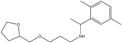 [1-(2,5-dimethylphenyl)ethyl][3-(oxolan-2-ylmethoxy)propyl]amine Struktur