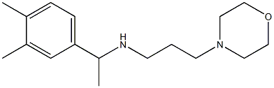 [1-(3,4-dimethylphenyl)ethyl][3-(morpholin-4-yl)propyl]amine Struktur