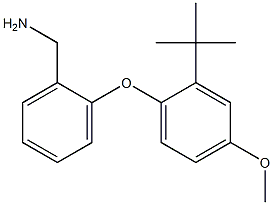 [2-(2-tert-butyl-4-methoxyphenoxy)phenyl]methanamine Struktur