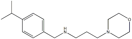 [3-(morpholin-4-yl)propyl]({[4-(propan-2-yl)phenyl]methyl})amine Struktur