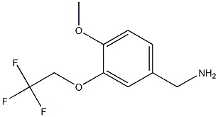 [4-methoxy-3-(2,2,2-trifluoroethoxy)phenyl]methanamine Struktur