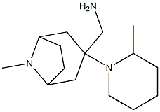 [8-methyl-3-(2-methylpiperidin-1-yl)-8-azabicyclo[3.2.1]octan-3-yl]methanamine Struktur