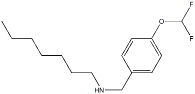 {[4-(difluoromethoxy)phenyl]methyl}(heptyl)amine Struktur