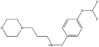 {[4-(difluoromethoxy)phenyl]methyl}[3-(morpholin-4-yl)propyl]amine Struktur