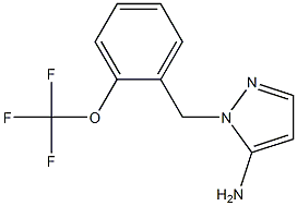 1-[2-(trifluoromethoxy)benzyl]-1H-pyrazol-5-amine Struktur