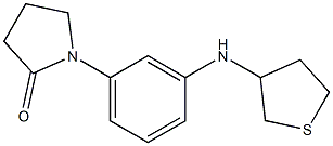 1-[3-(thiolan-3-ylamino)phenyl]pyrrolidin-2-one Struktur