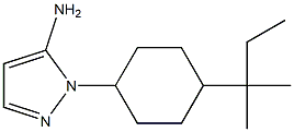 1-[4-(1,1-dimethylpropyl)cyclohexyl]-1H-pyrazol-5-amine Struktur