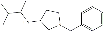 1-benzyl-N-(3-methylbutan-2-yl)pyrrolidin-3-amine Struktur