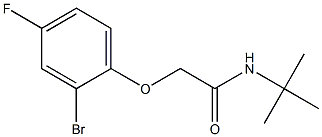 2-(2-bromo-4-fluorophenoxy)-N-(tert-butyl)acetamide Struktur