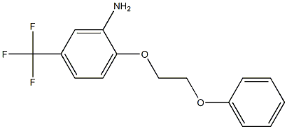 2-(2-phenoxyethoxy)-5-(trifluoromethyl)aniline Struktur