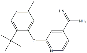 2-(2-tert-butyl-5-methylphenoxy)pyridine-4-carboximidamide Struktur