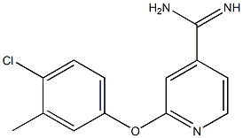 2-(4-chloro-3-methylphenoxy)pyridine-4-carboximidamide Struktur