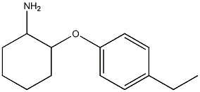 2-(4-ethylphenoxy)cyclohexan-1-amine Struktur