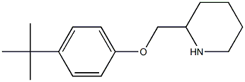 2-(4-tert-butylphenoxymethyl)piperidine Struktur