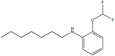 2-(difluoromethoxy)-N-heptylaniline Struktur