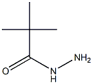 2,2-dimethylpropanohydrazide Struktur