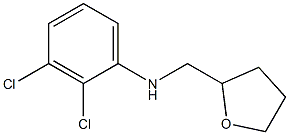 2,3-dichloro-N-(oxolan-2-ylmethyl)aniline Struktur