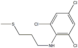 2,4,6-trichloro-N-[3-(methylsulfanyl)propyl]aniline Struktur