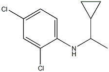 2,4-dichloro-N-(1-cyclopropylethyl)aniline Struktur