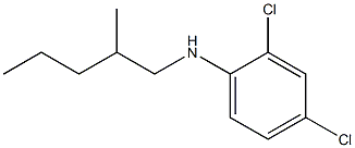 2,4-dichloro-N-(2-methylpentyl)aniline Struktur