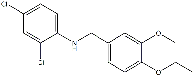 2,4-dichloro-N-[(4-ethoxy-3-methoxyphenyl)methyl]aniline Struktur